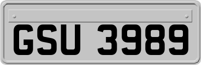 GSU3989