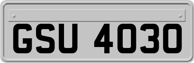 GSU4030