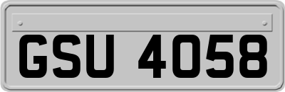 GSU4058