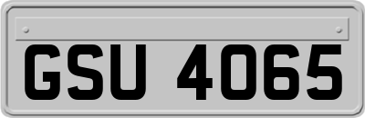 GSU4065