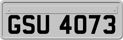 GSU4073