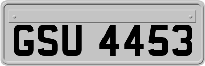 GSU4453