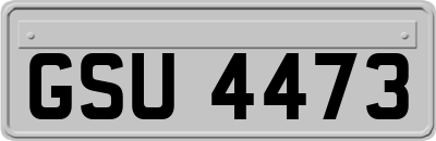 GSU4473