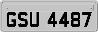 GSU4487