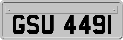 GSU4491