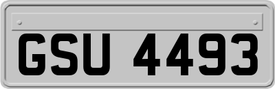 GSU4493