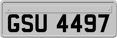 GSU4497