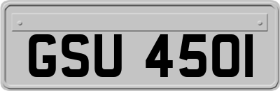 GSU4501