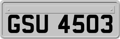 GSU4503