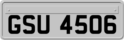 GSU4506