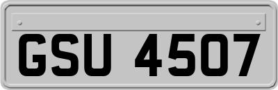 GSU4507