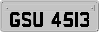 GSU4513