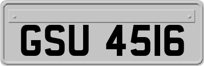 GSU4516