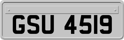 GSU4519