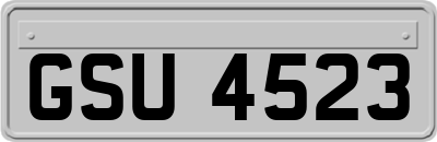 GSU4523