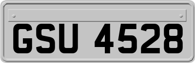 GSU4528