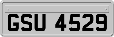 GSU4529