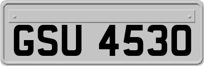 GSU4530