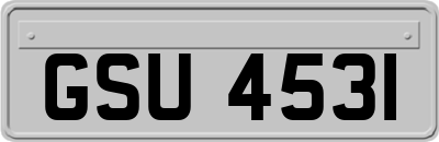 GSU4531