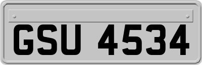 GSU4534