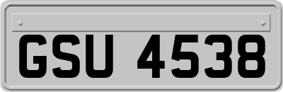 GSU4538