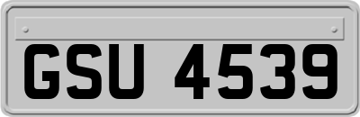 GSU4539