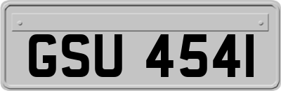 GSU4541