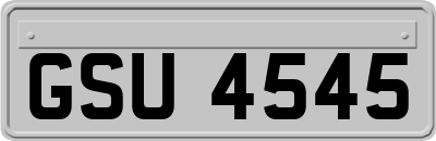 GSU4545