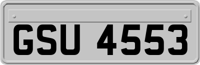 GSU4553