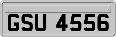 GSU4556