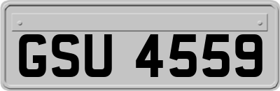 GSU4559