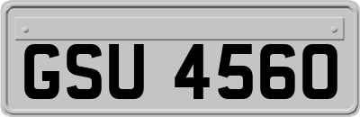 GSU4560