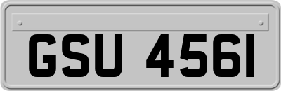GSU4561