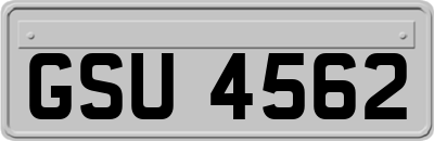 GSU4562
