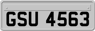 GSU4563