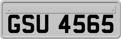 GSU4565