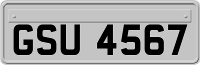 GSU4567