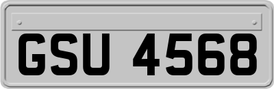 GSU4568