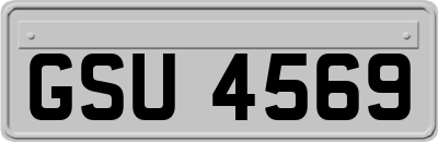 GSU4569