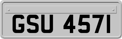 GSU4571