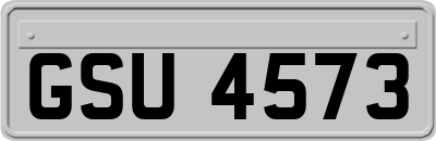 GSU4573
