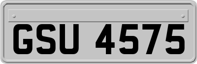 GSU4575