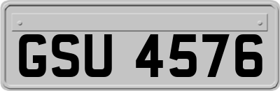 GSU4576