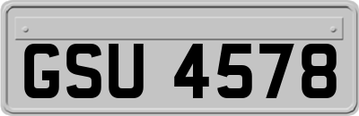 GSU4578