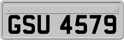 GSU4579