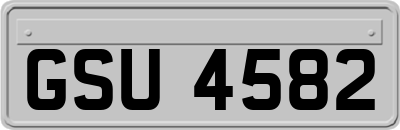 GSU4582