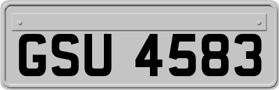 GSU4583