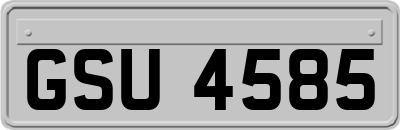 GSU4585