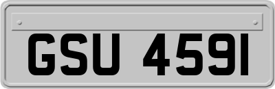 GSU4591