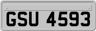 GSU4593